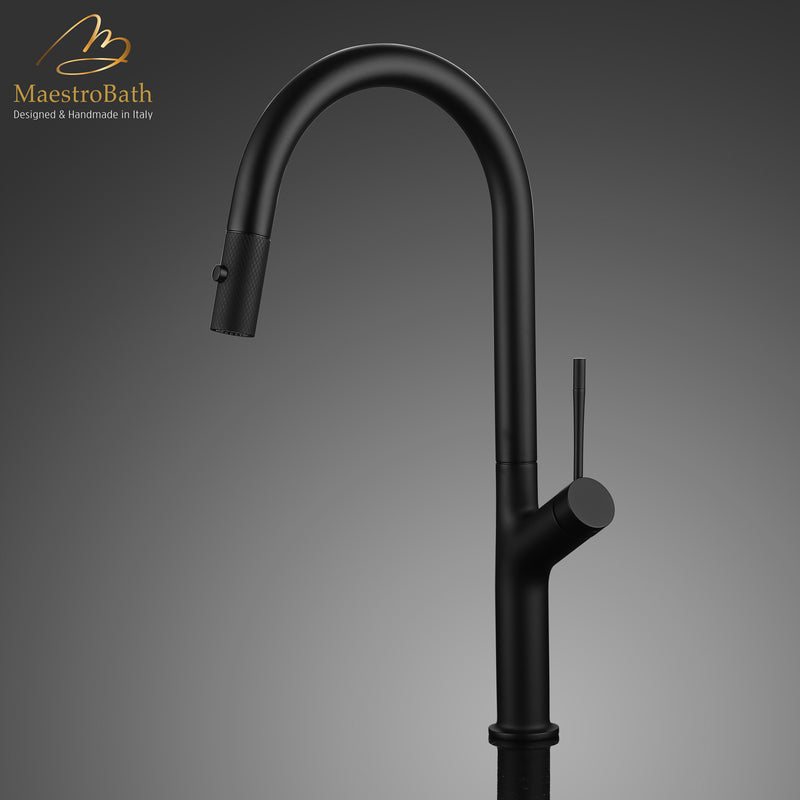 PALM Modern Kitchen Faucet With 2 Jets | Black